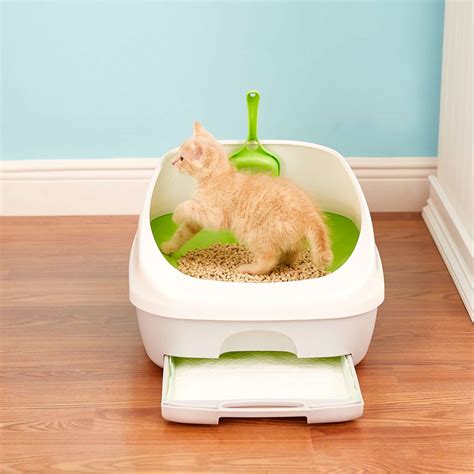 cat litter box reviews